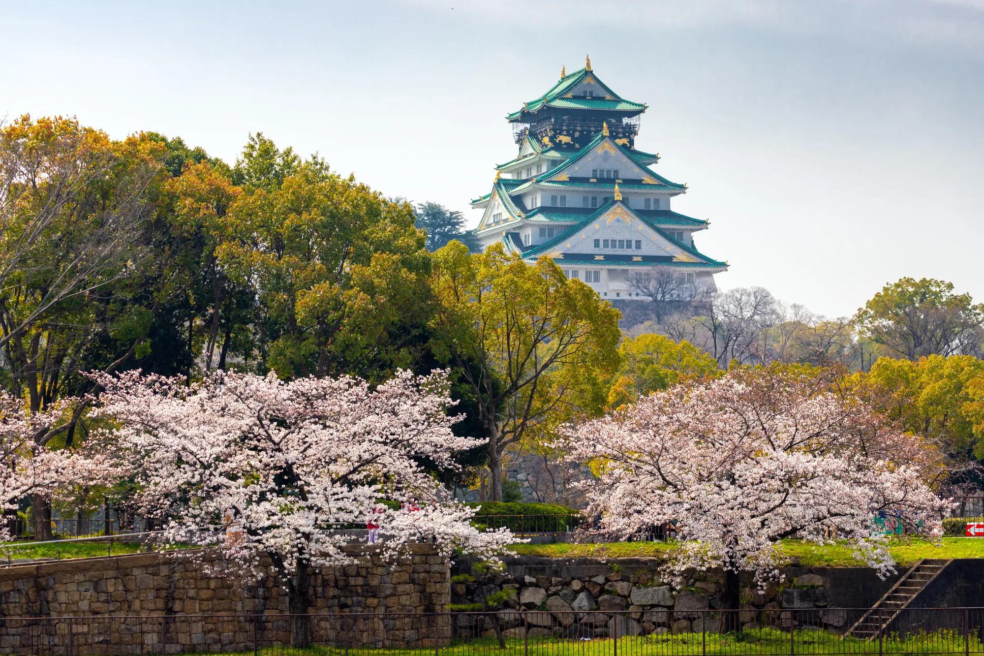 Discover Stunning Cherry Blossom Paradise: Your Complete Guide to Kansai's Most Spectacular Hanami Destinations