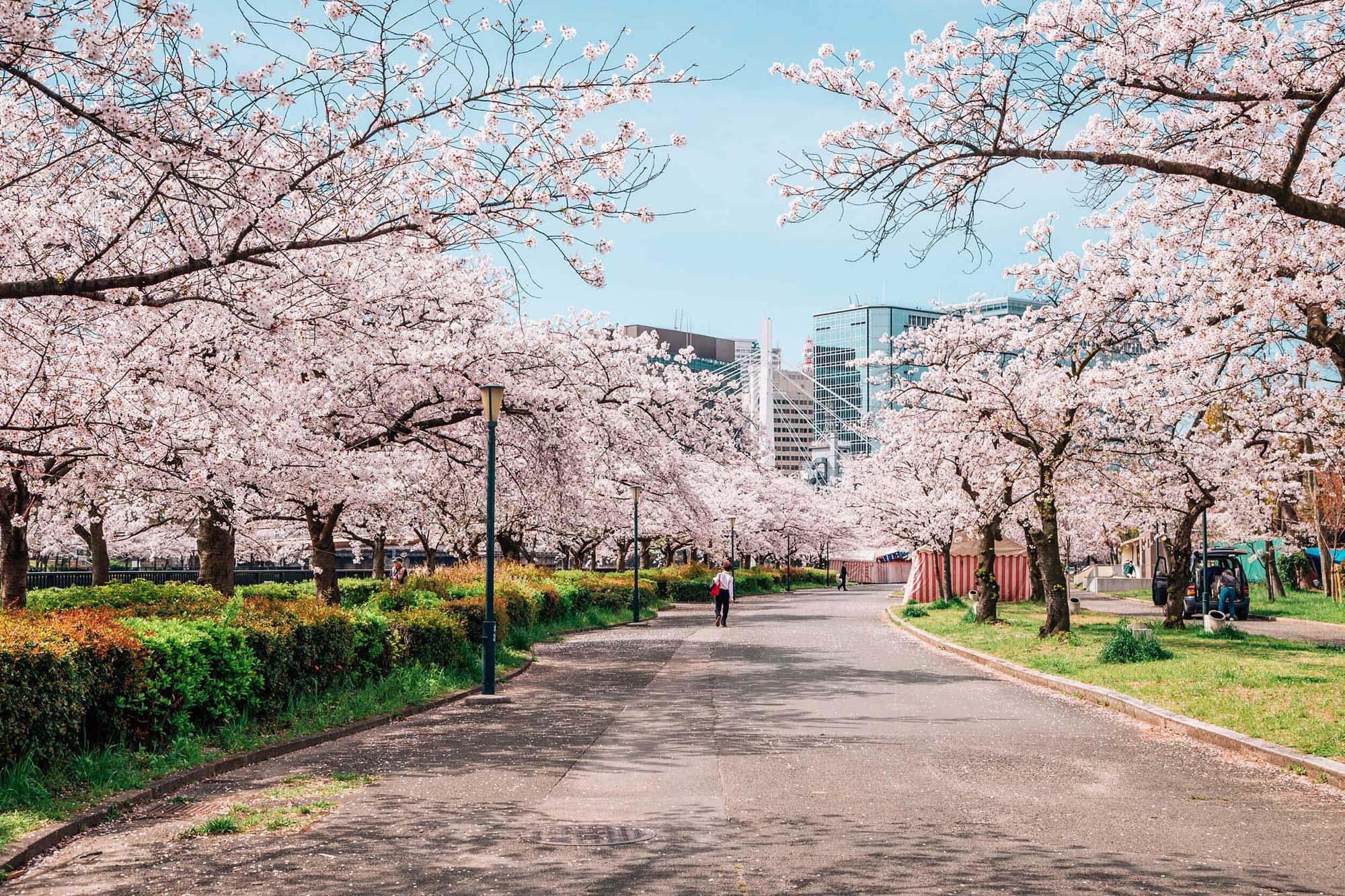 THE 5 BEST PARKS TO VISIT IN OSAKA TO CHILL AND ESCAPE FROM CITY HUSTLE
