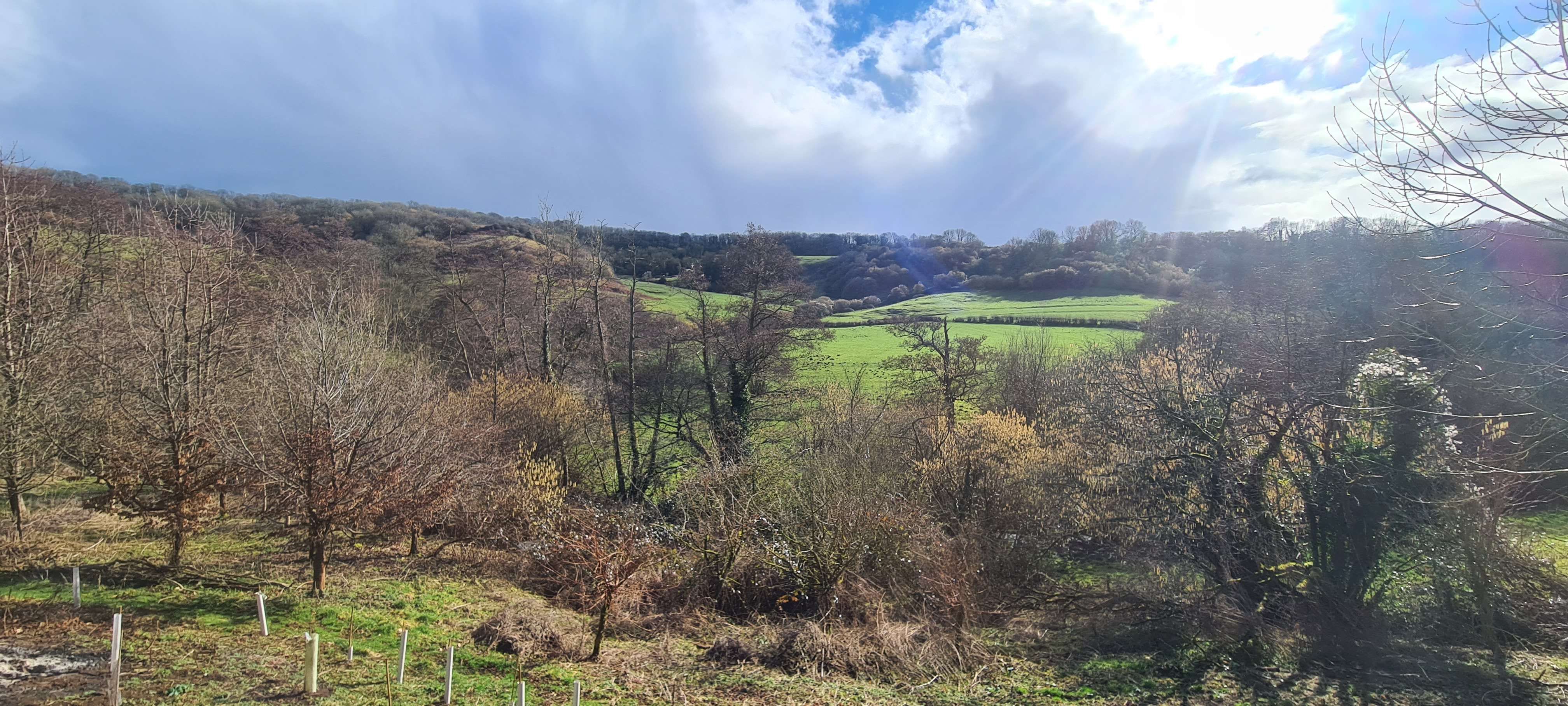 Photo of the view across the valey from 100Acer