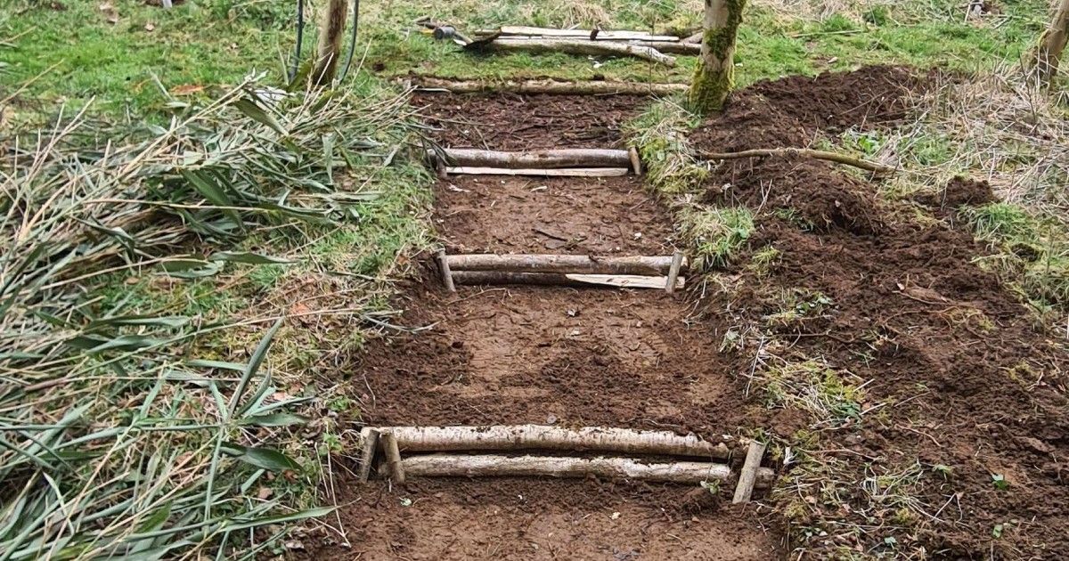 Photo of steps made from materials harvested on-site.