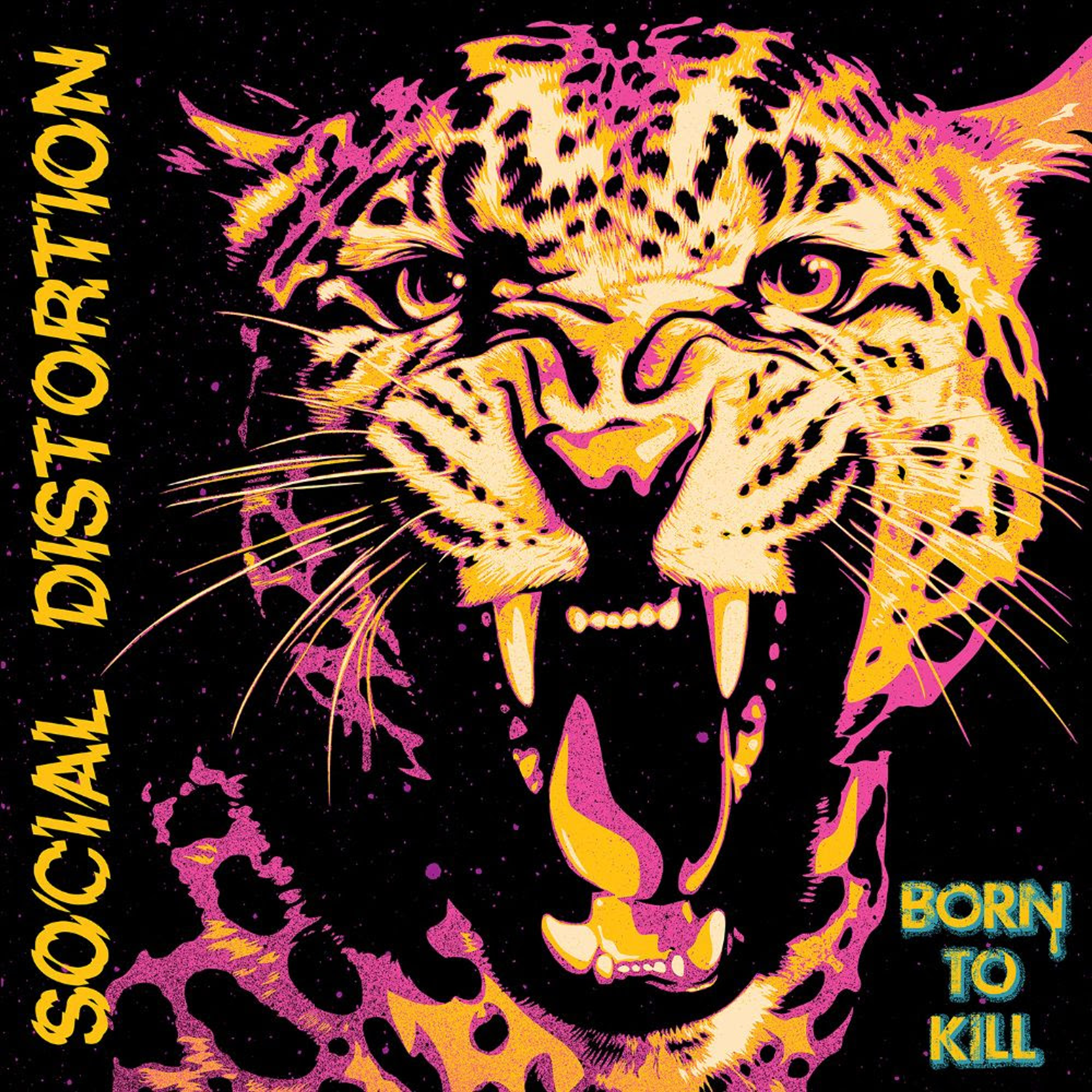 Born to Kill - Social Distortion