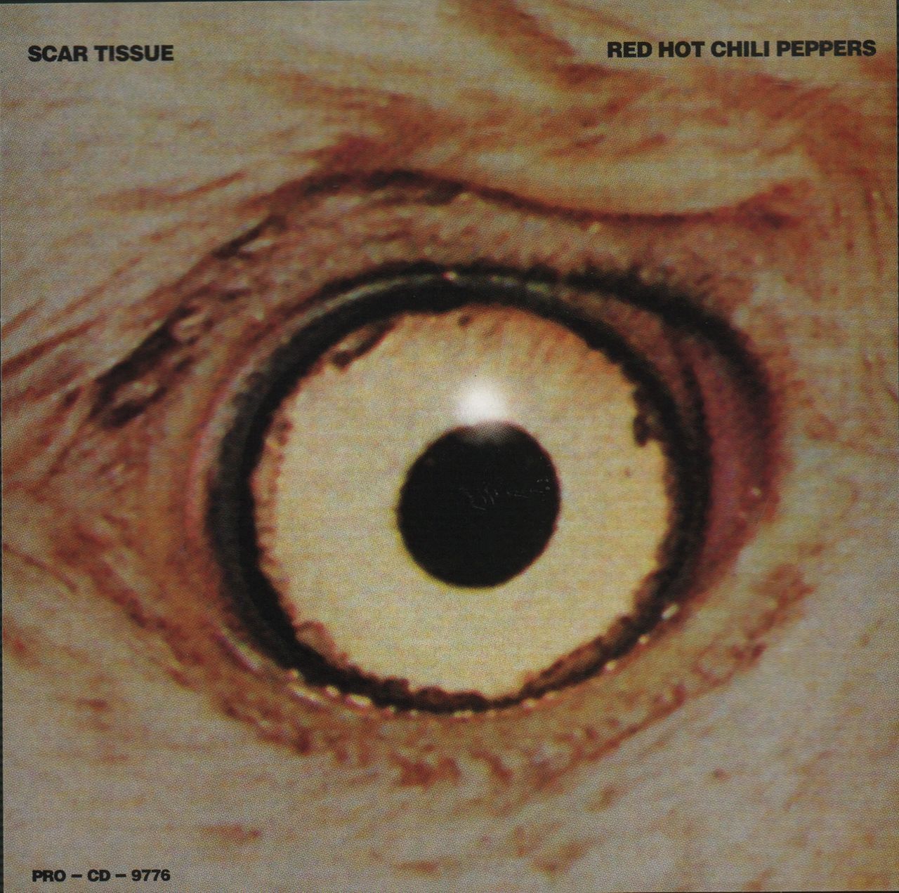 Red Hot Chili Peppers - Scar Tissue