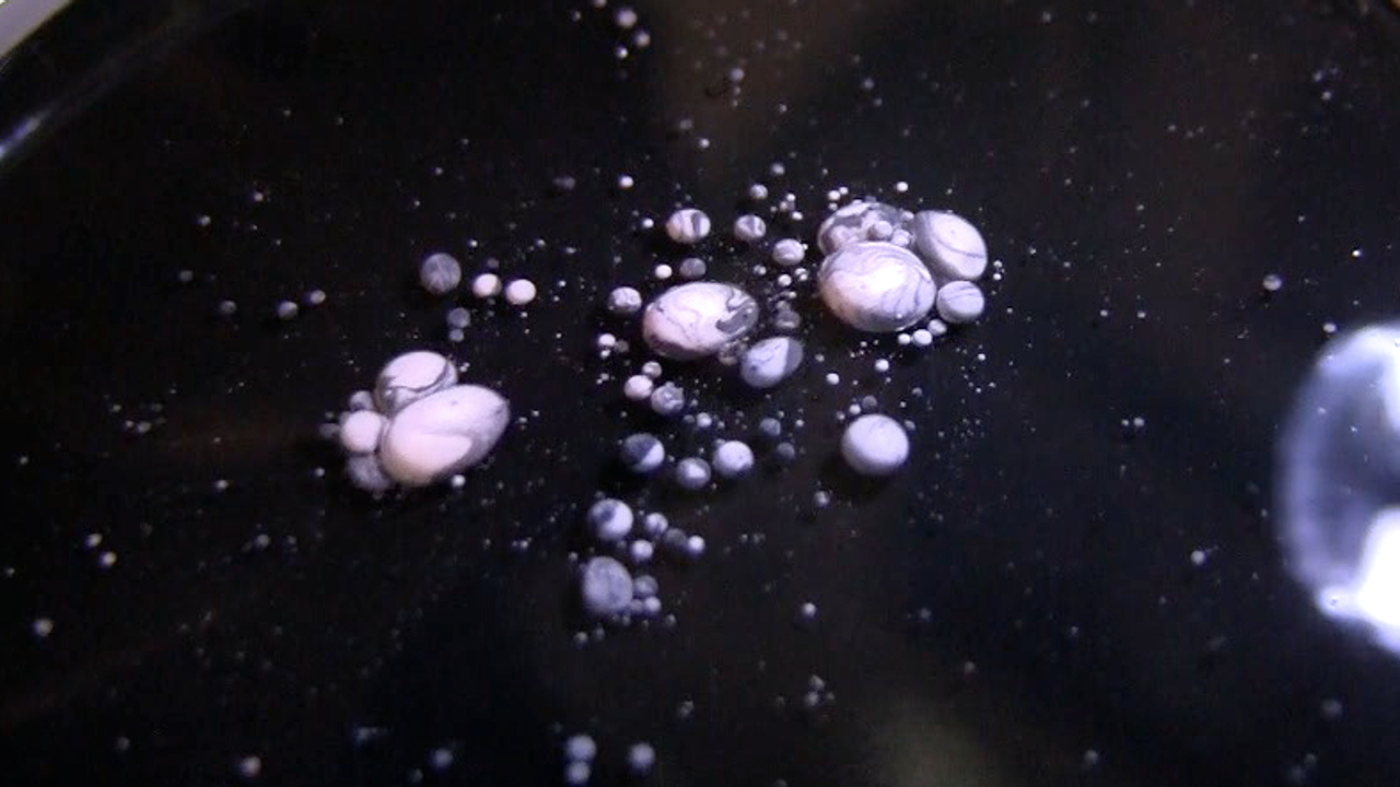 Blob Motility II - COLONY