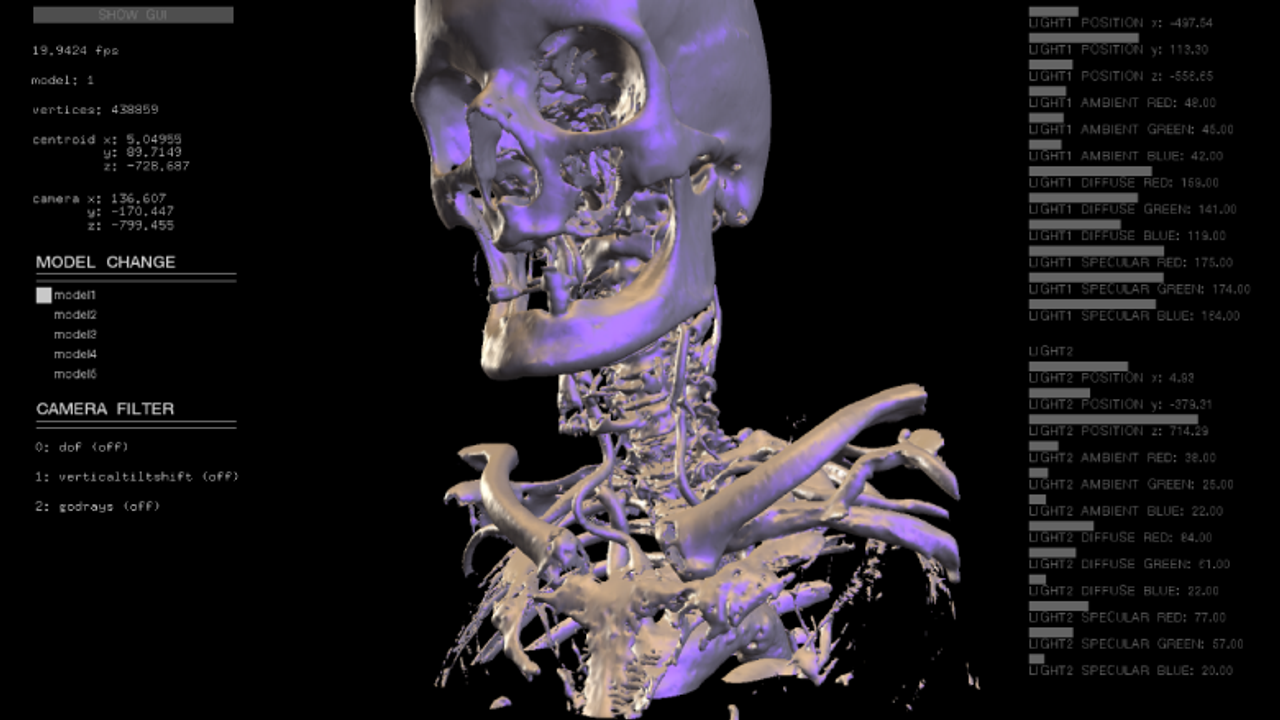 Human Body Visualization Workshop