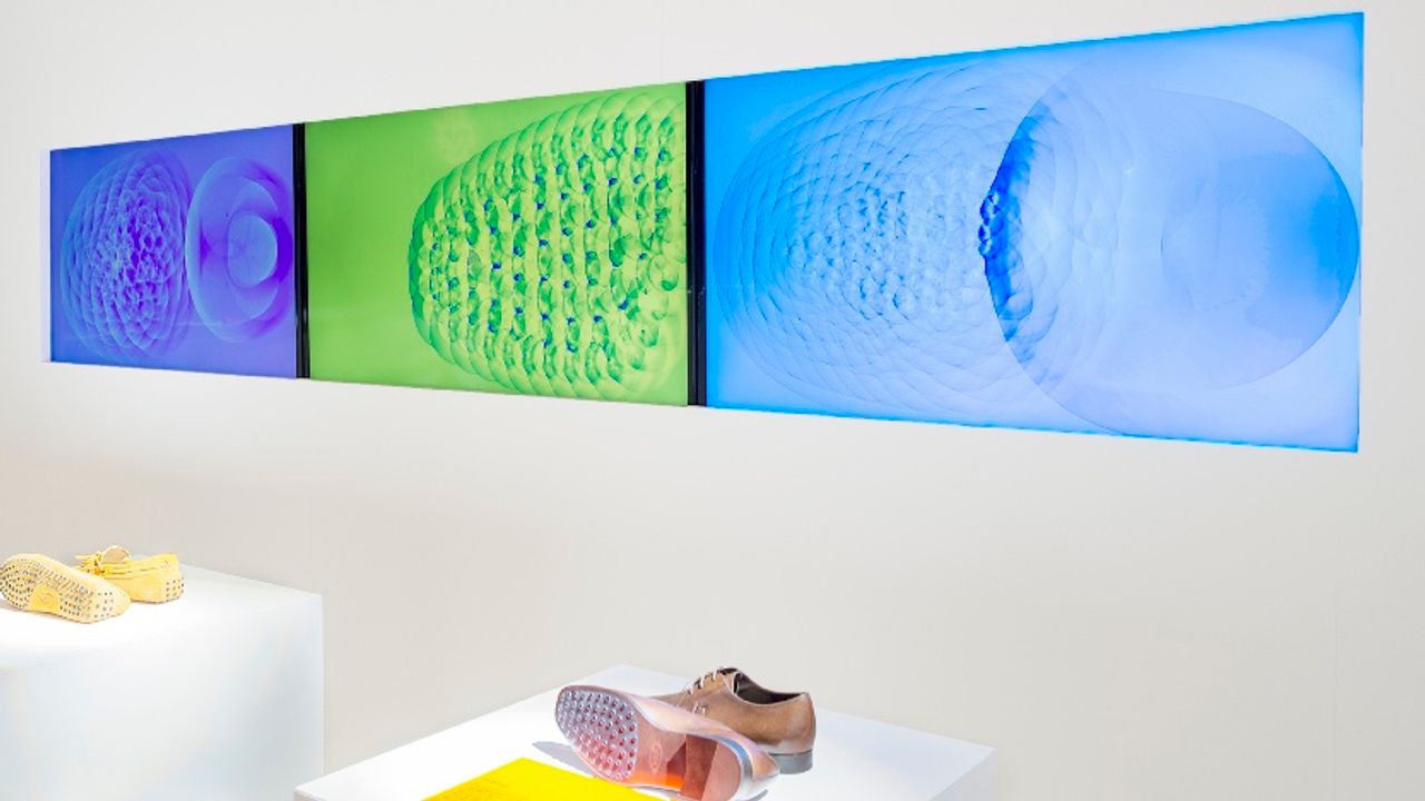 Scalar Field of Shoes