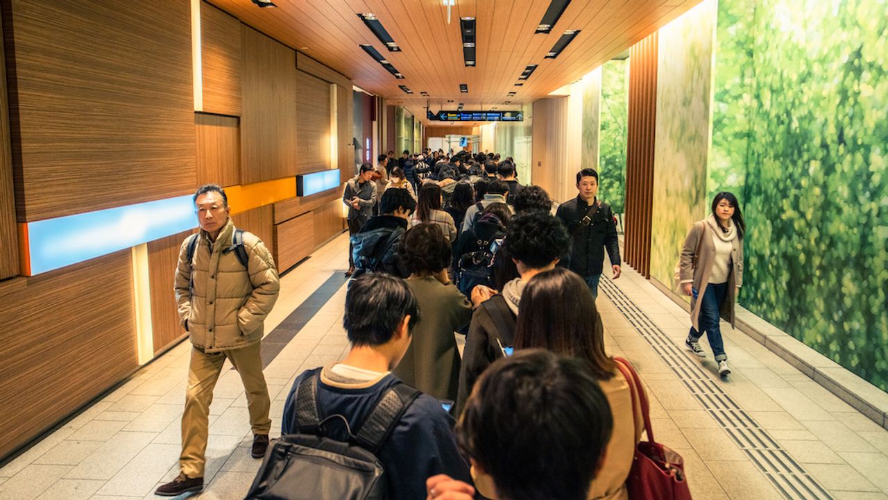 Speculative Fake College - Social Credit Score Admission