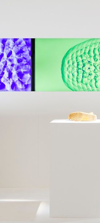 Scalar Field of Shoes