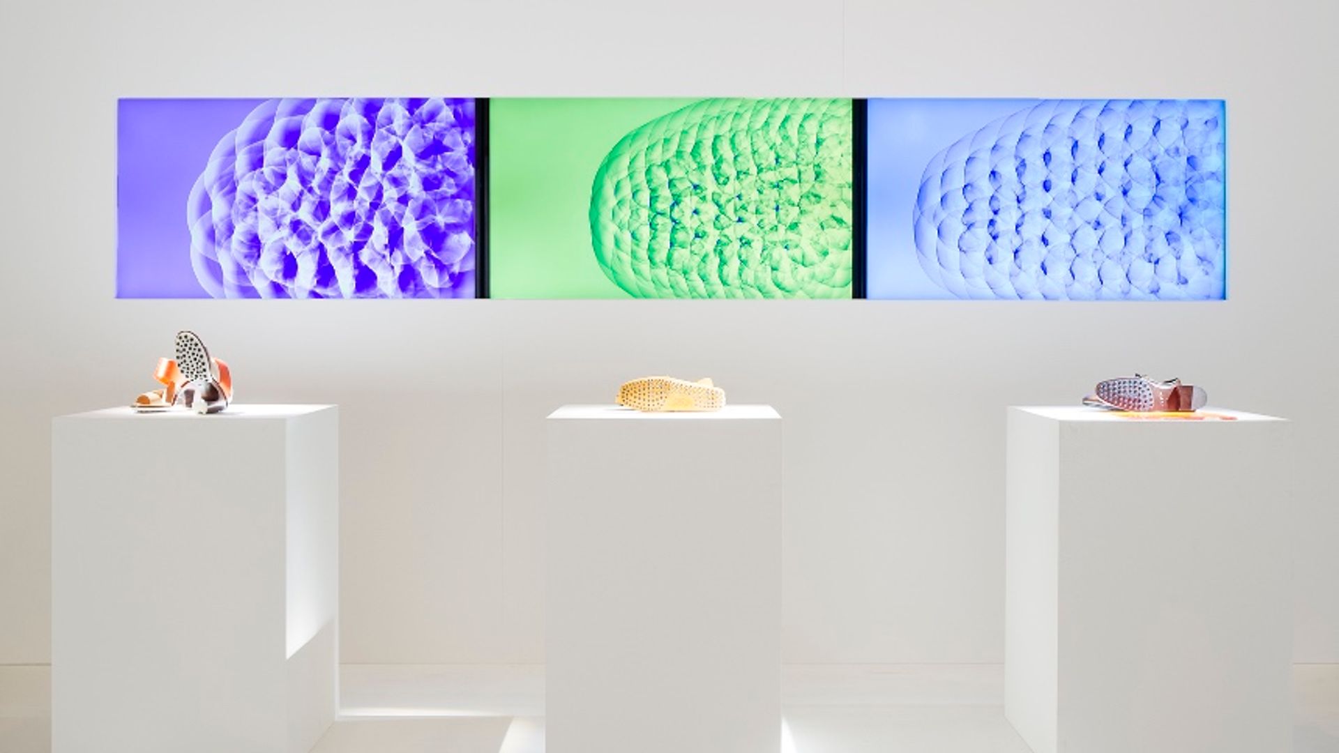 Scalar Field of Shoes