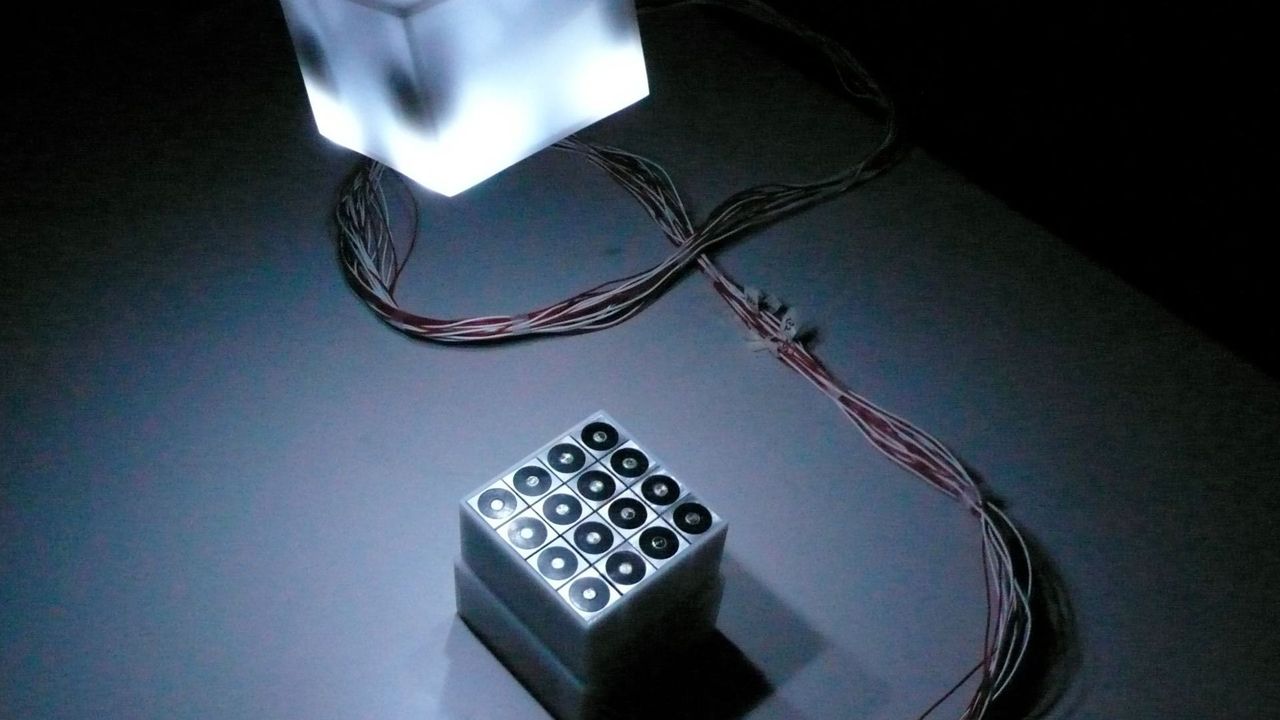 Blob Motility II - COLONY