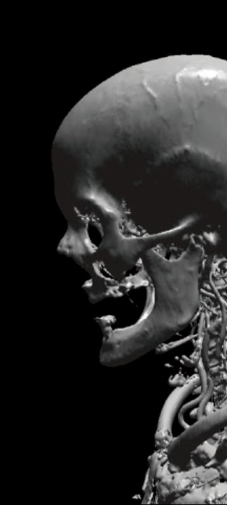 Human Body Visualization Workshop