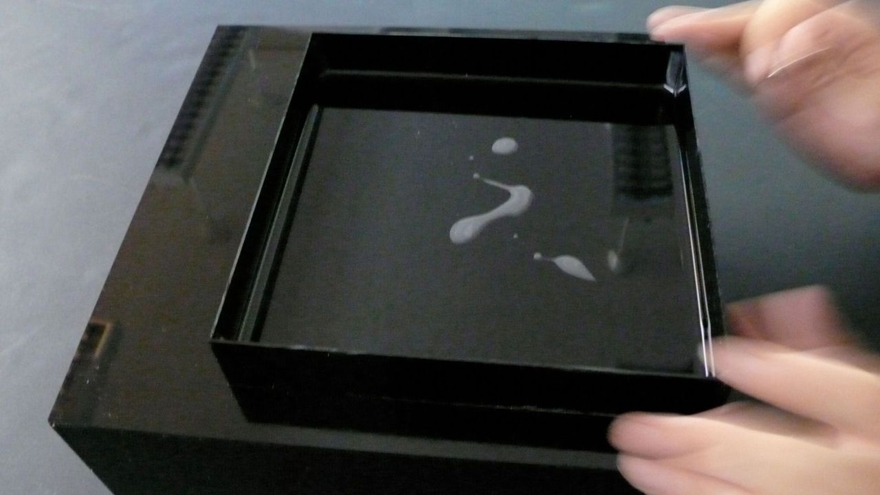 Blob Motility II - COLONY