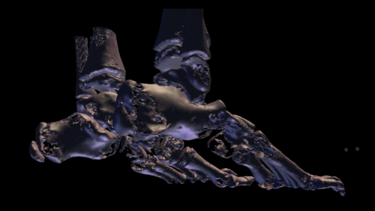 Human Body Visualization Workshop