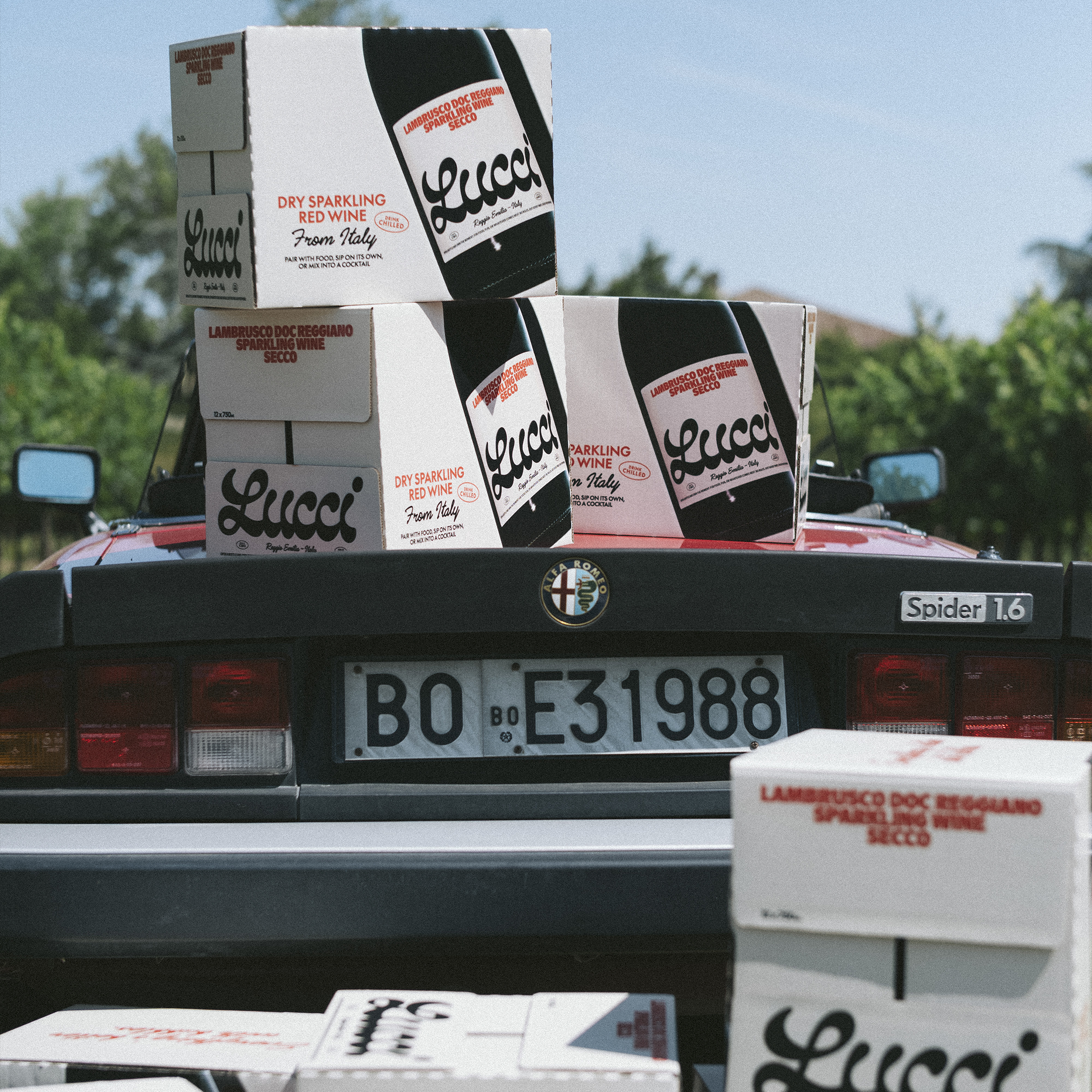 A decorative image from Usal Project