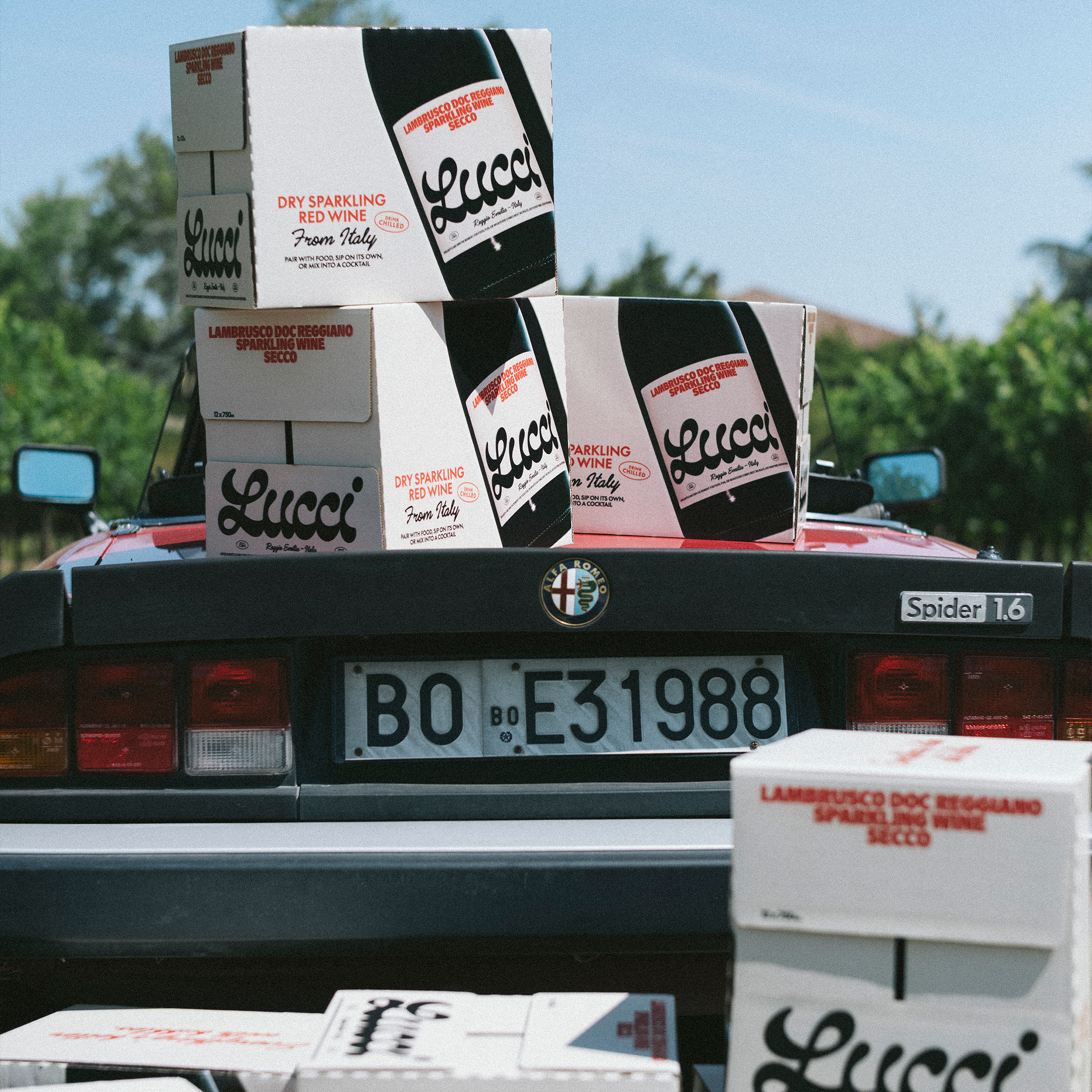 A decorative image from Usal Project