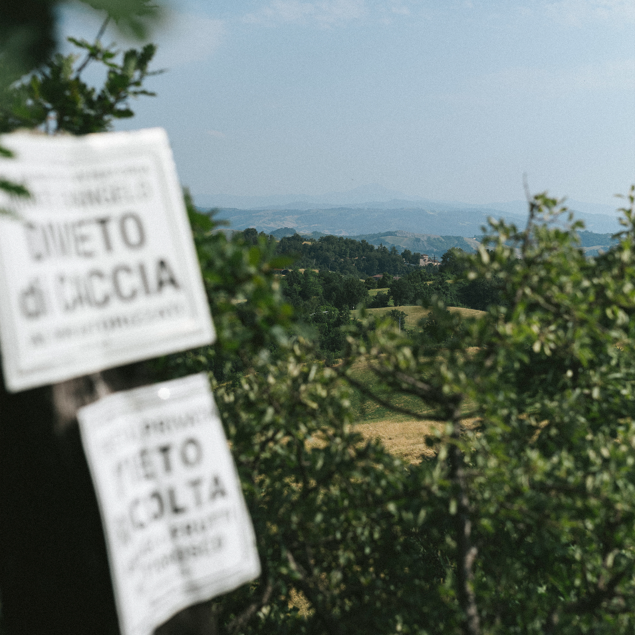 Carousel image - A decorative image from Usal Project