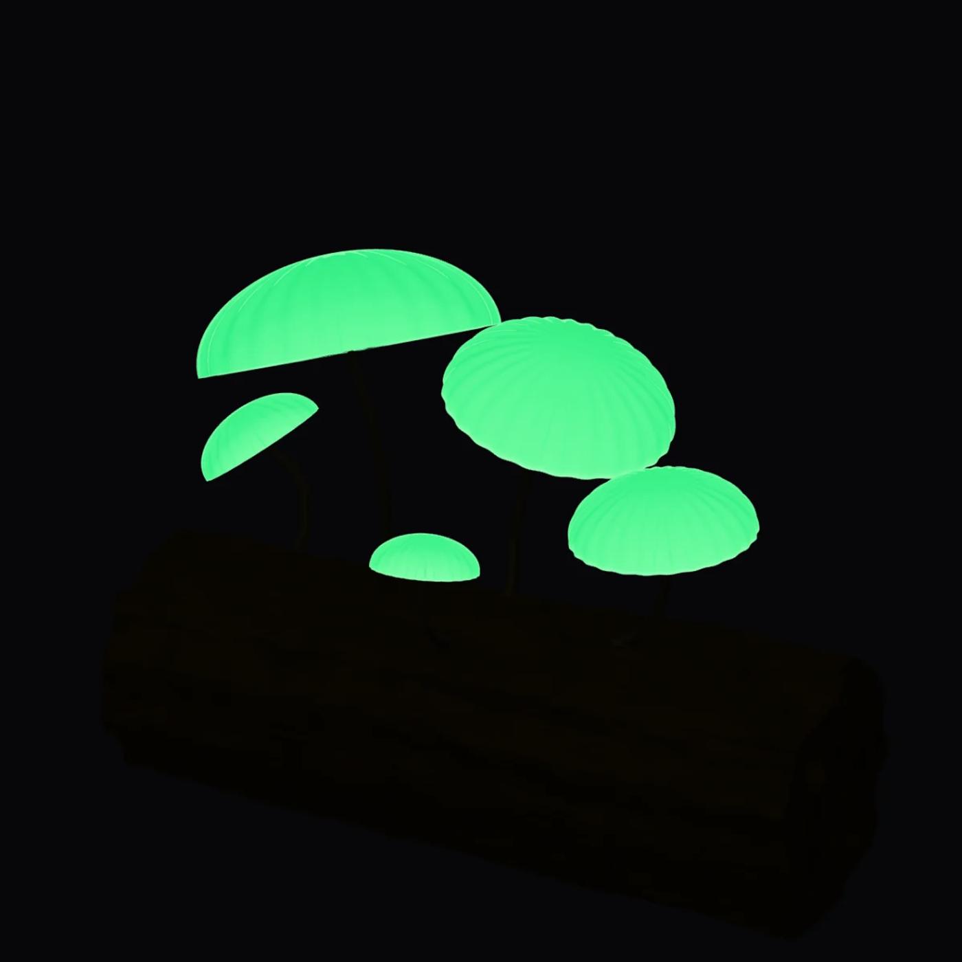 Glowing bonnets on a log with the lights off: only the caps glow green
