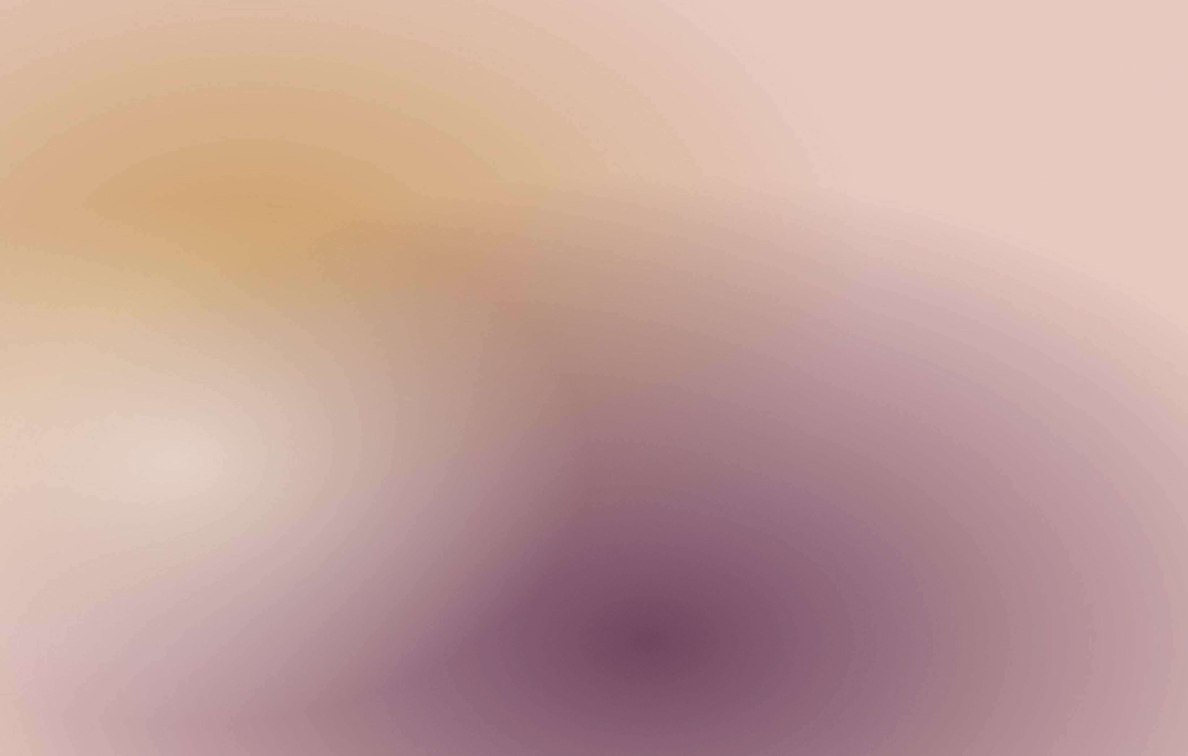 Placeholder — Porcelain — 1