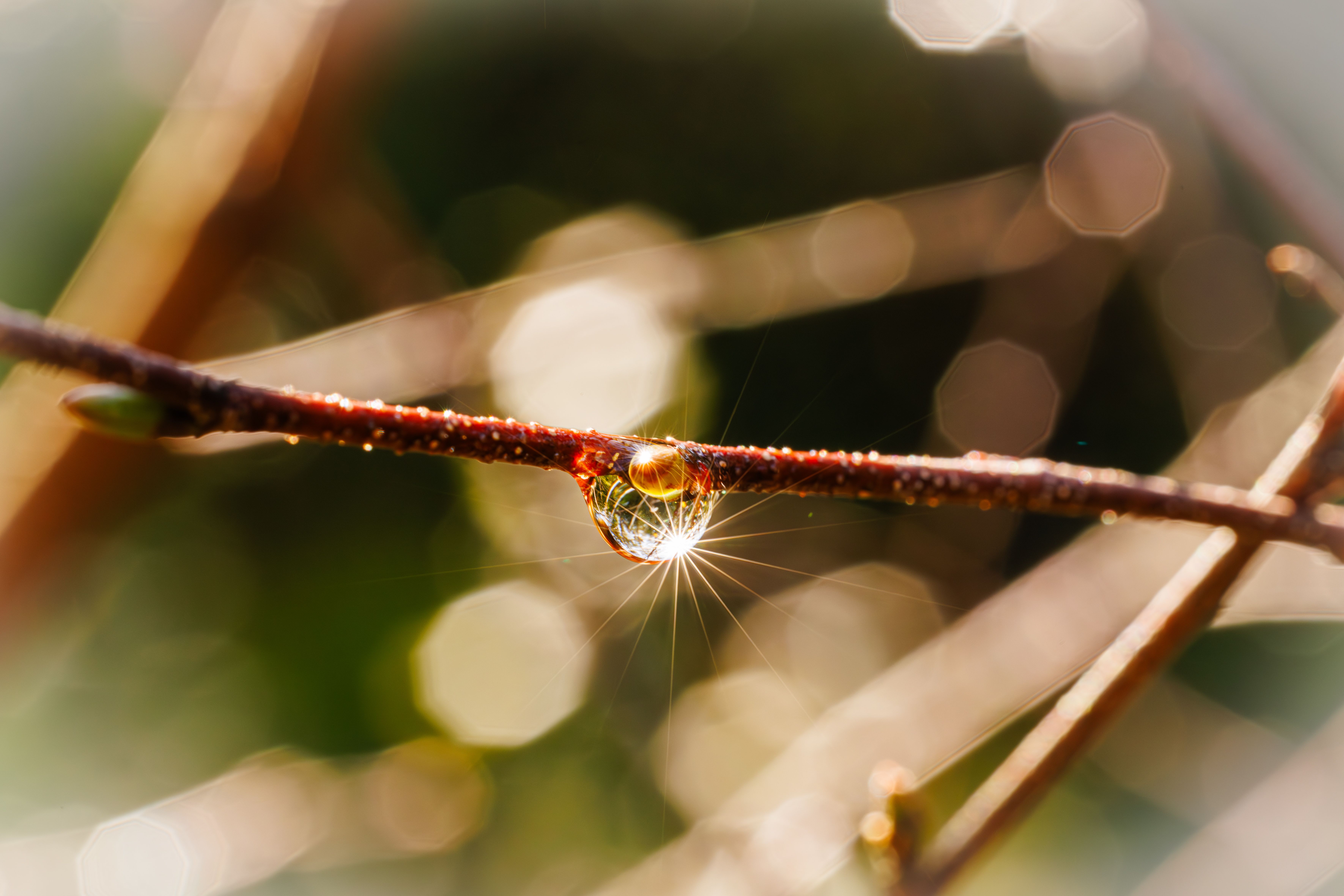 Water droplet on a natural surface