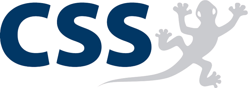 CSS AG