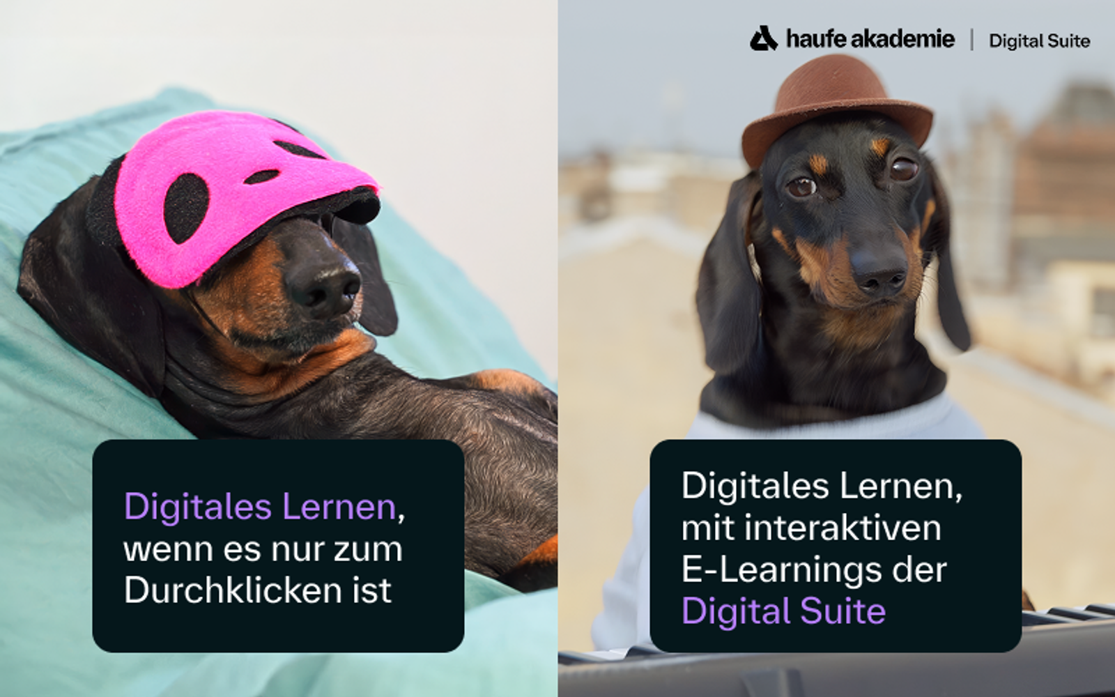 Digitales Lernen, das Potenziale entfaltet