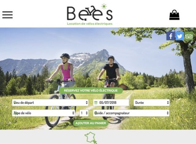 Bees