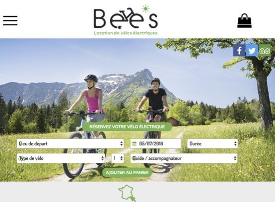 Bees