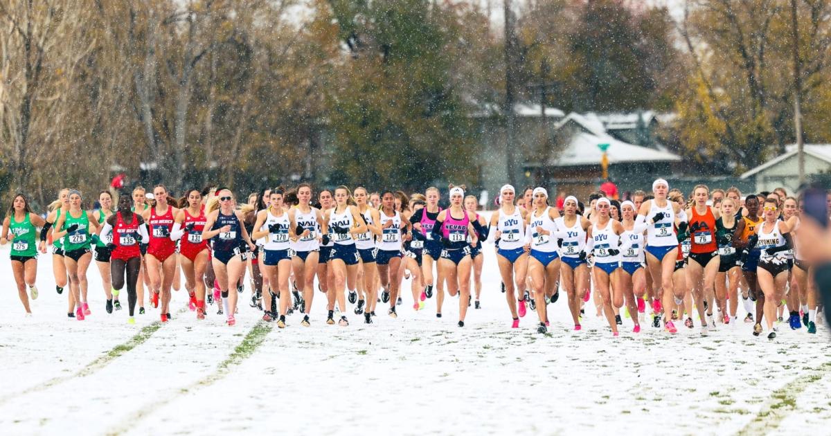 Who Qualified For The 2024 NCAA DI Cross Country Championships?