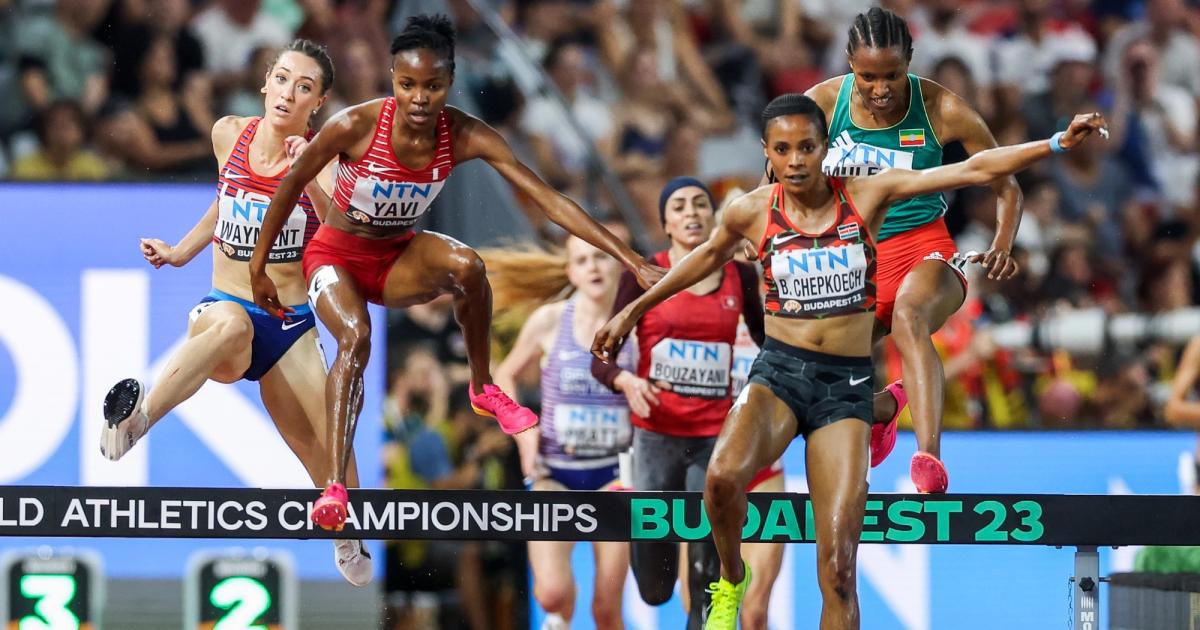 Women's Steeplechase