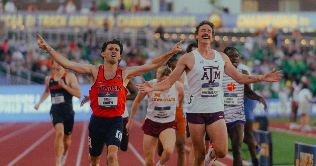 Shane Cohen crosses the line ahead of Sam Whitmarsh in the 800m final