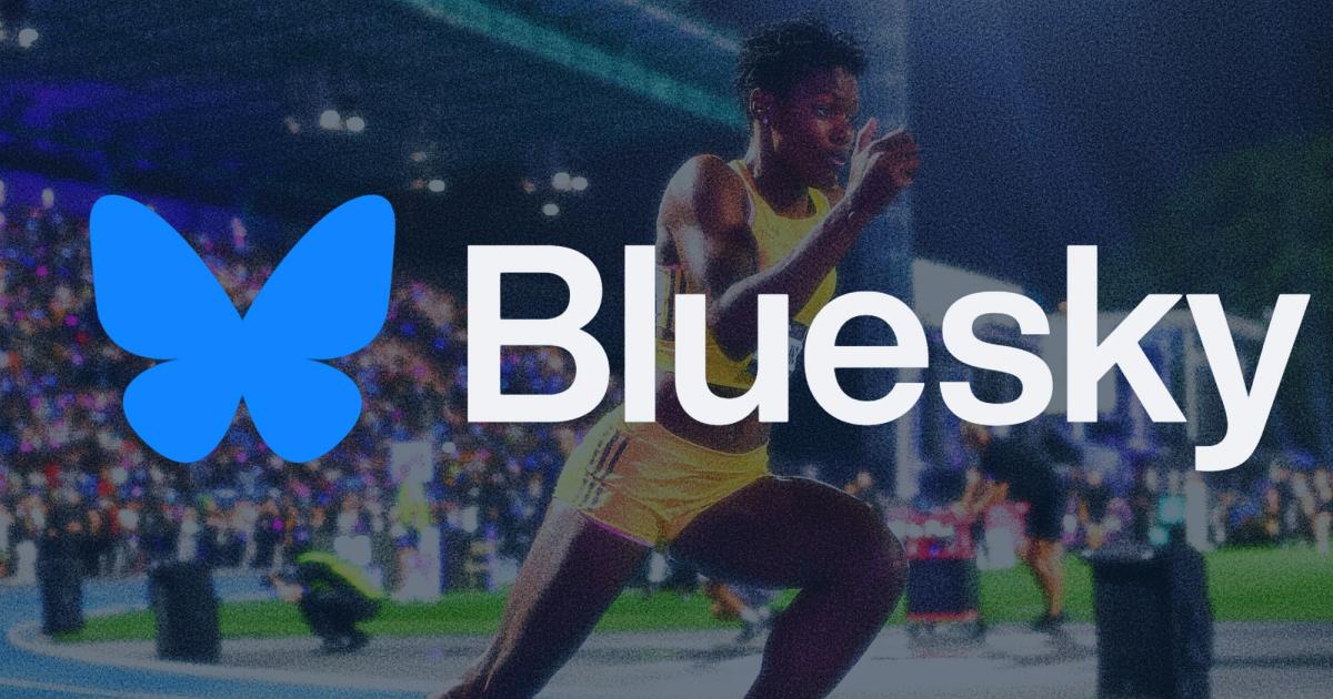 Bluesky Social Media Platform