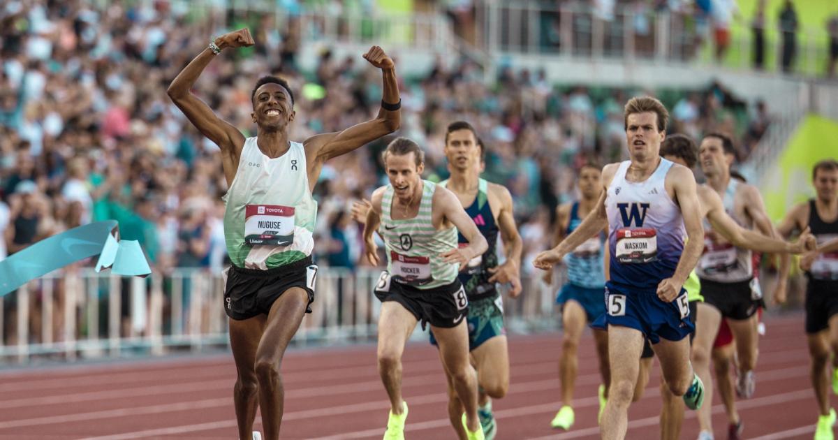 Yared Nuguse, 2023 USATF Championships