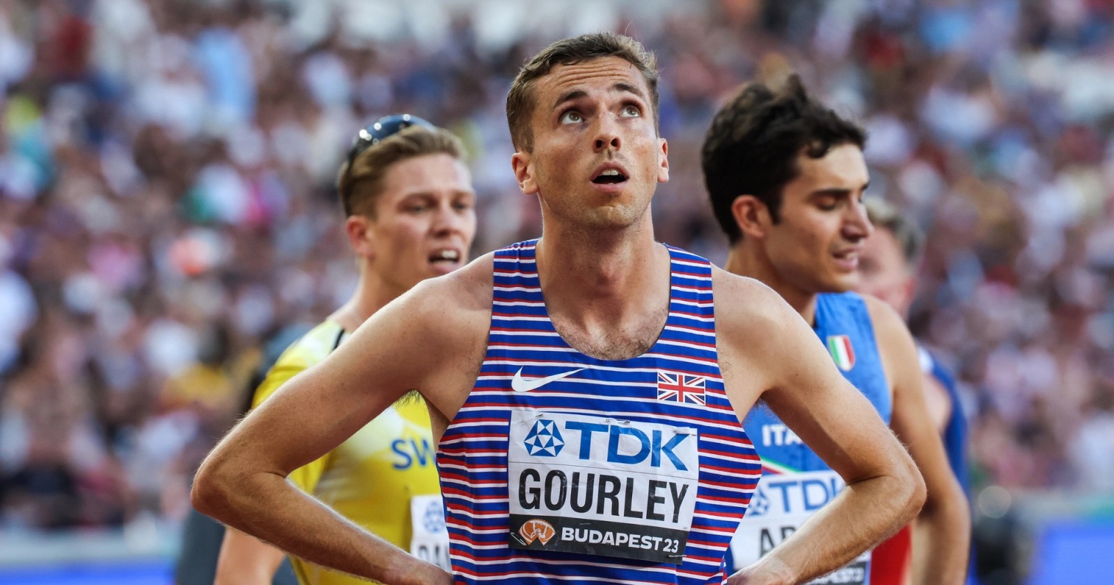Neil Gourley