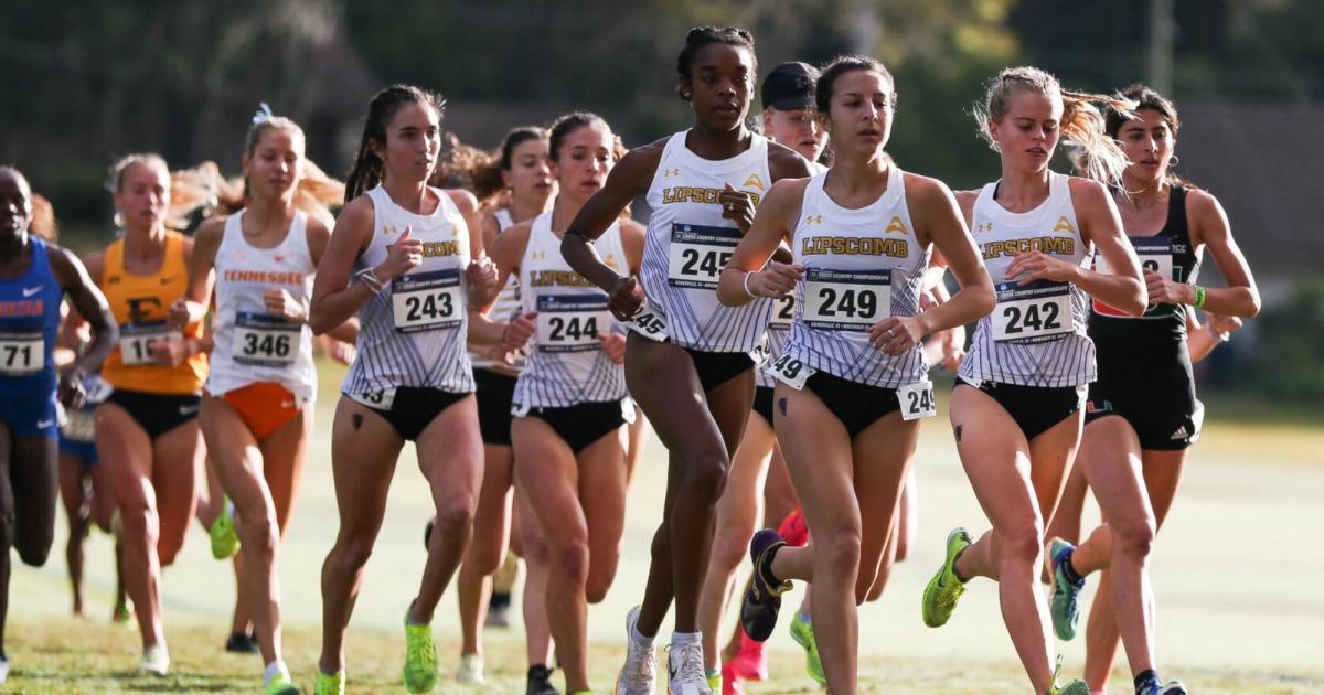 Lipscomb women's cross country 