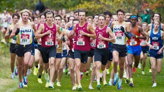 Stanford Men's Cross Country 