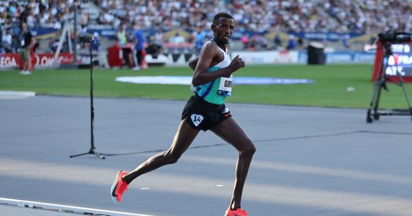 Lamecha Girma