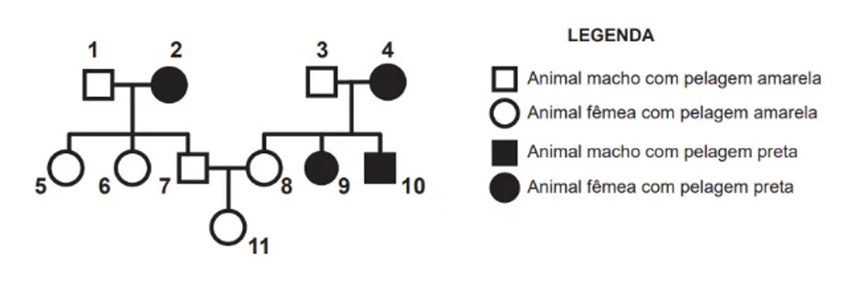 Questão 098 - ENEM PPL 2020 -