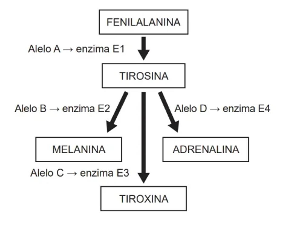 Questão 130 - ENEM PPL 2022 -