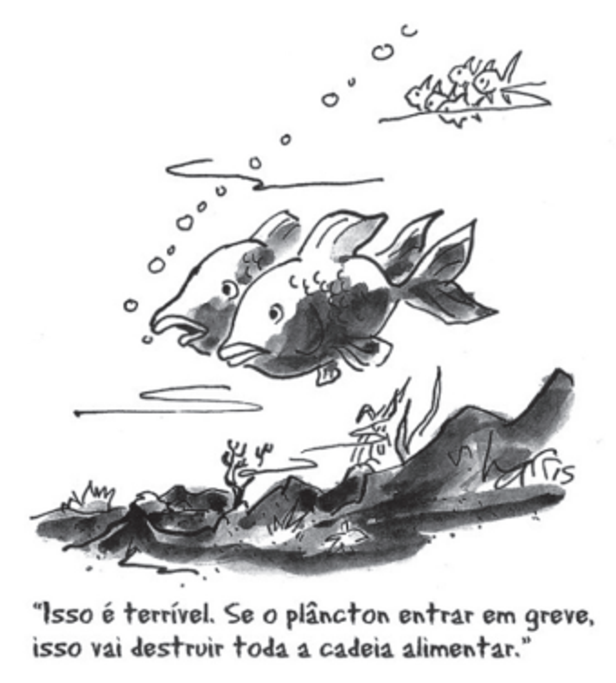 Questão 90 - ENEM 2011 - Ecologia