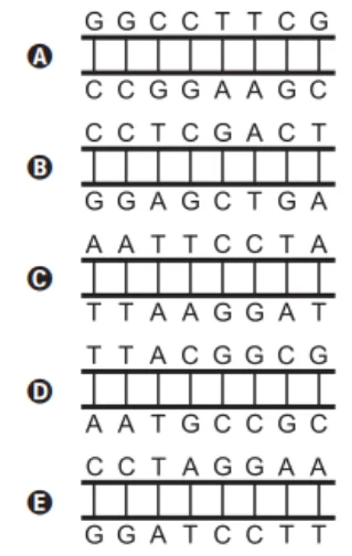 Questão 125 - ENEM 2017 -