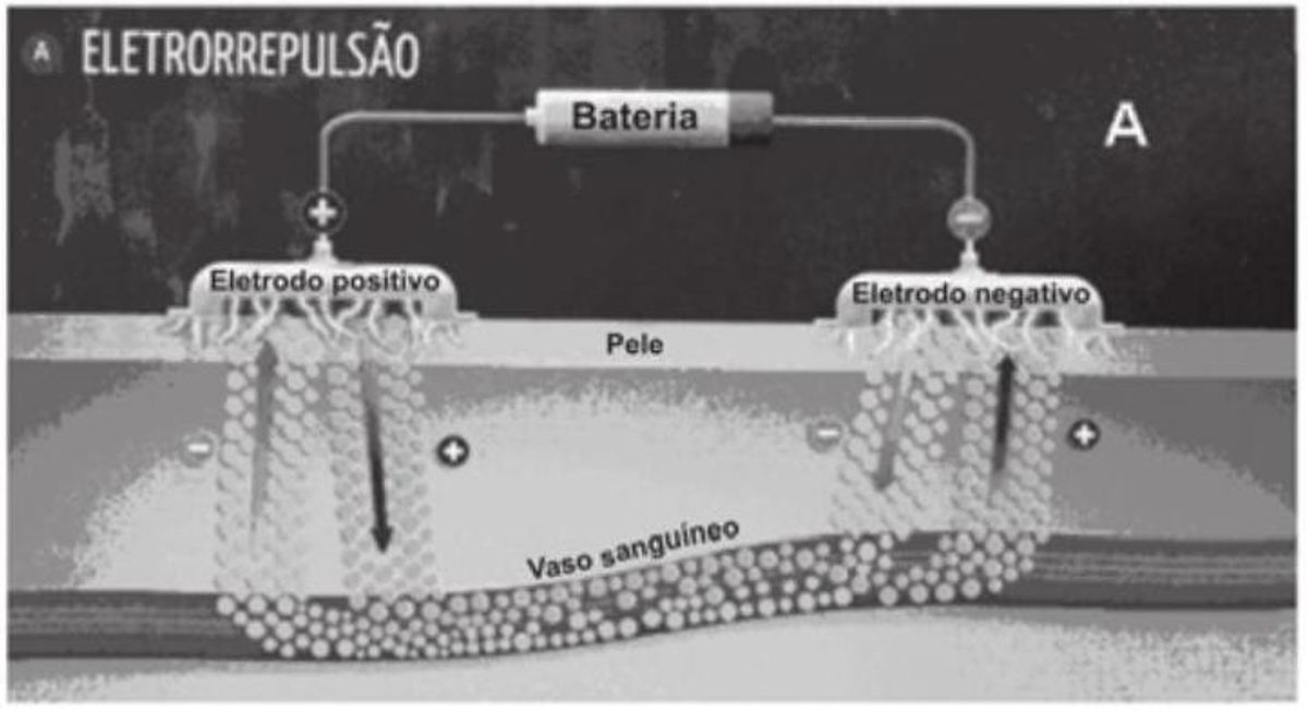 Questão 22 - ENEM 2009 - Fisiologia humana