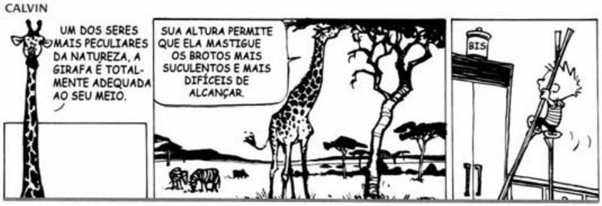 Questão 1 - ENEM 2010 - Historiografia Brasileira