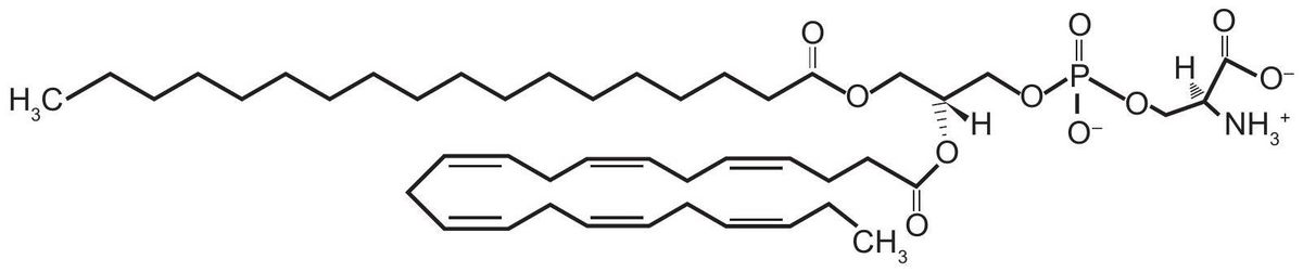 Questão 74 - ENEM 2012 - Estrutura molecular e interações