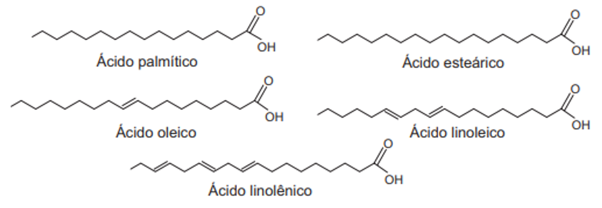 Questão 67 - ENEM 2013 - Bioquímica