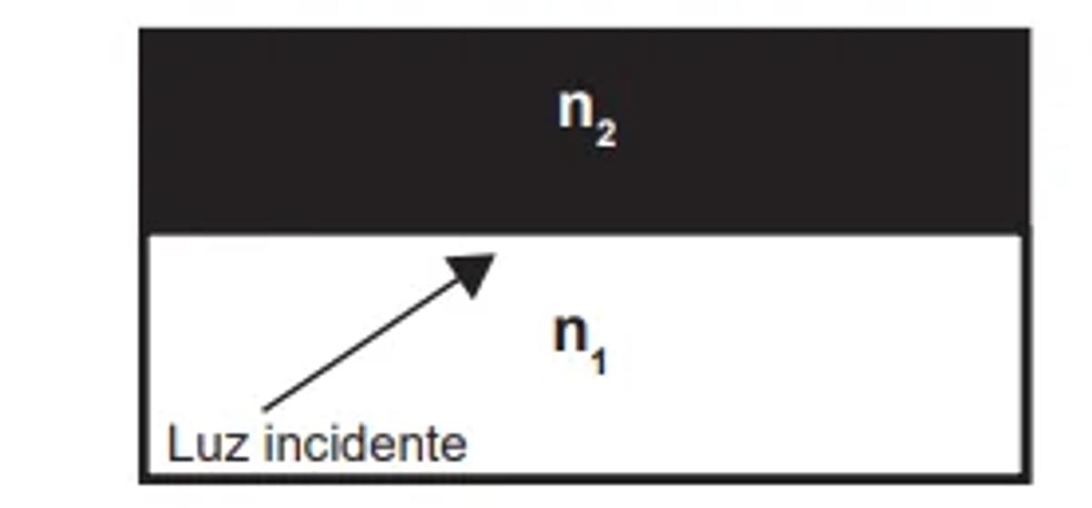 Questão 115 - ENEM PPL 2022 -
