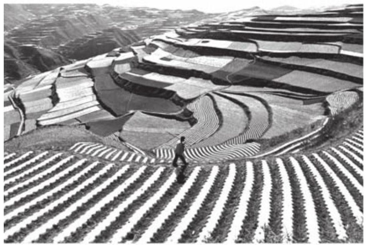 Questão 28 - ENEM 2013 - Espaço agrário