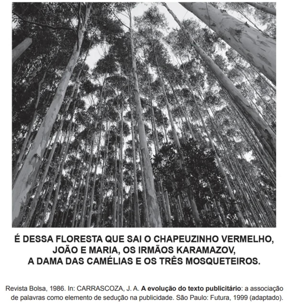 Questão 041 - ENEM 2017 -