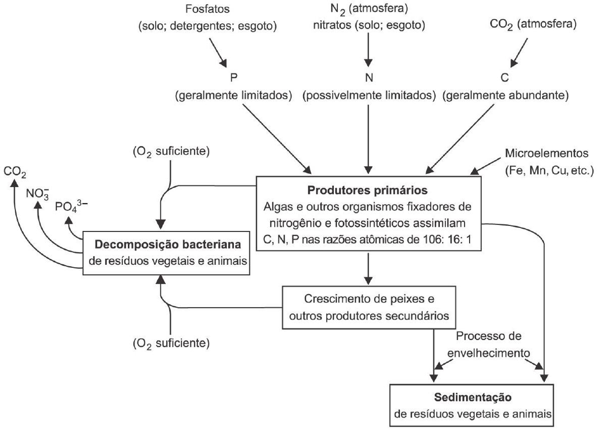 Questão 62 - ENEM 2011 - Ecologia