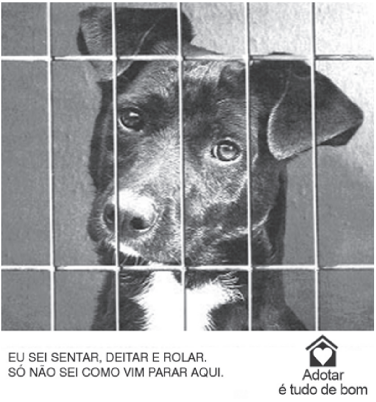 Questão 124 - ENEM 2011 - Gêneros Textuais