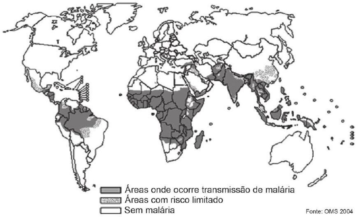 Questão 64 - ENEM 2011 - Protozoários