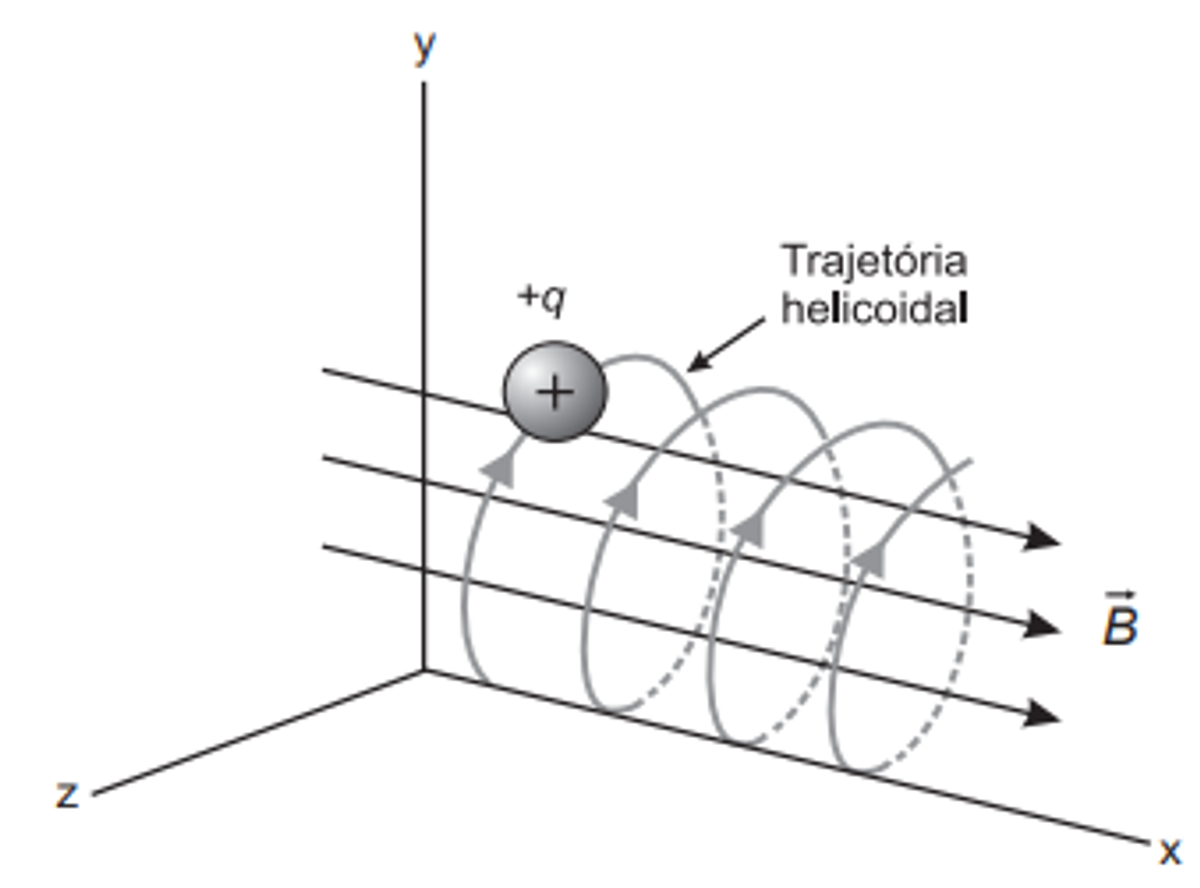 Questão 113 - ENEM 2019 -